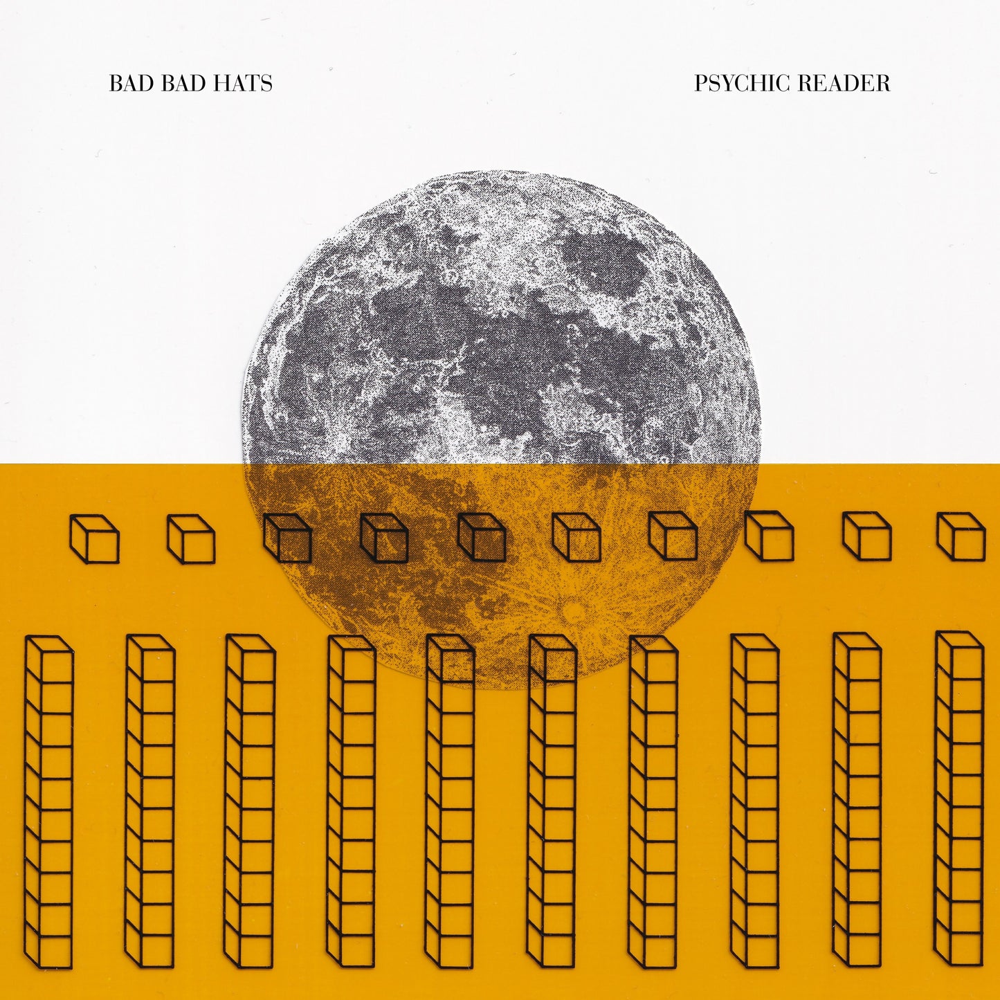 Psychic Reader (10th Anniversary Edition) Vinyl