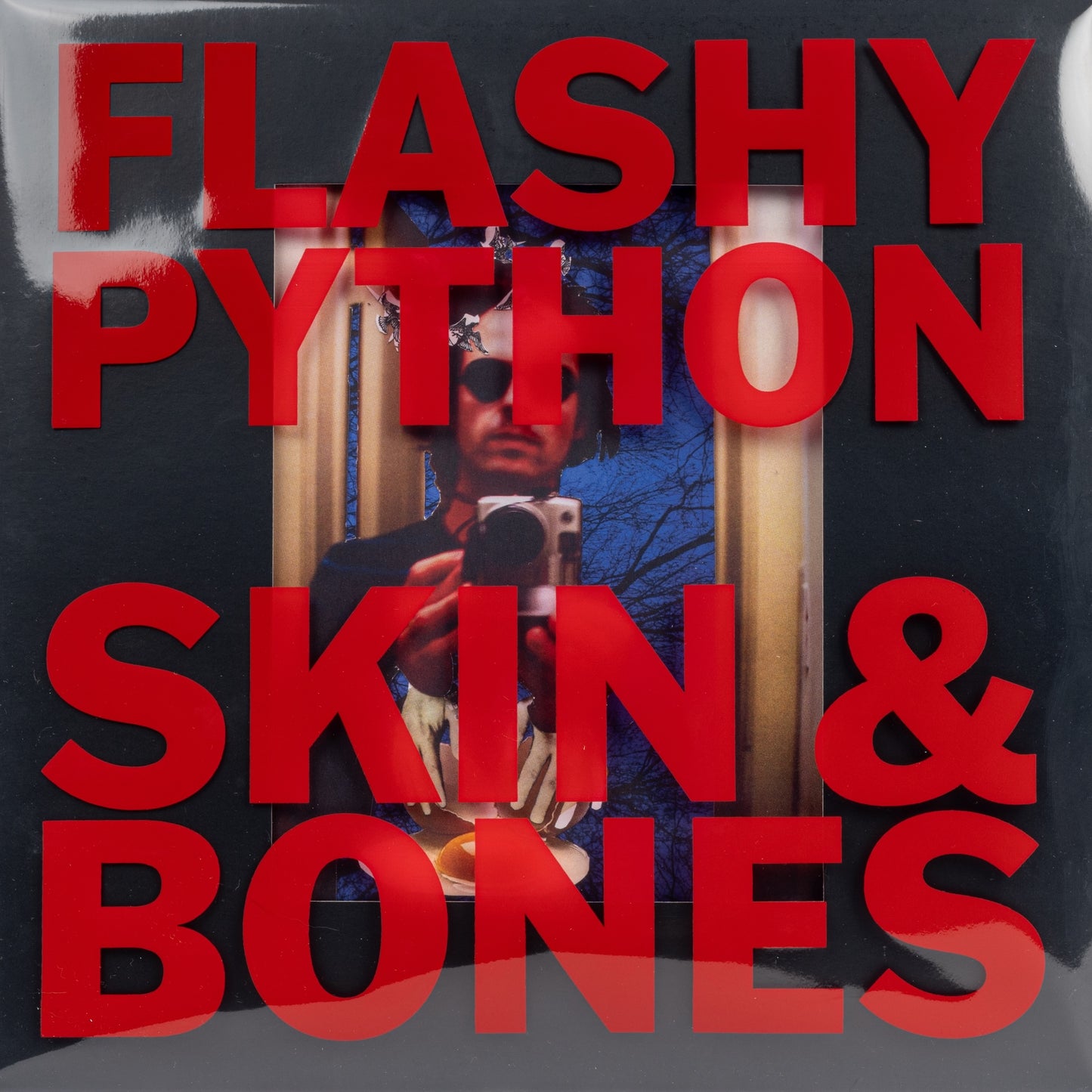 Flashy Python: Skin and Bones - Deluxe Vinyl Reissue