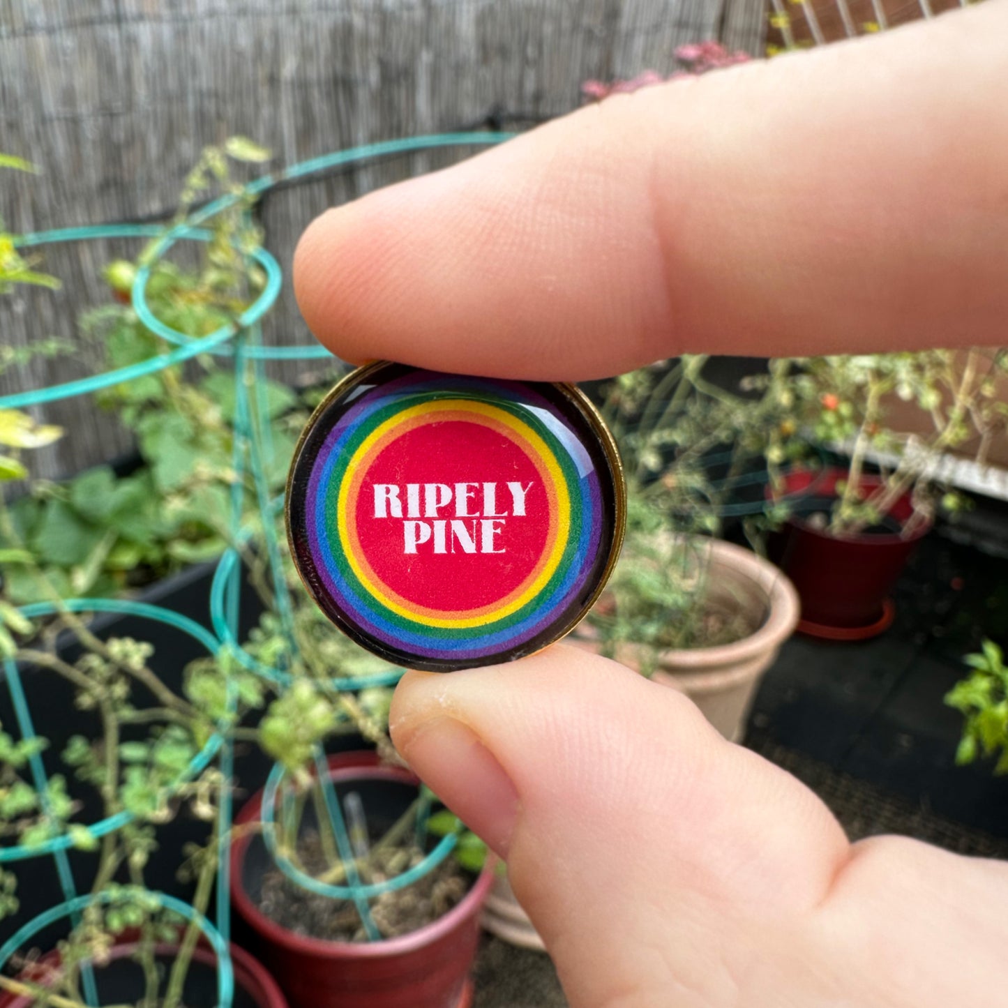 Ripely Pine Rainbow Pin